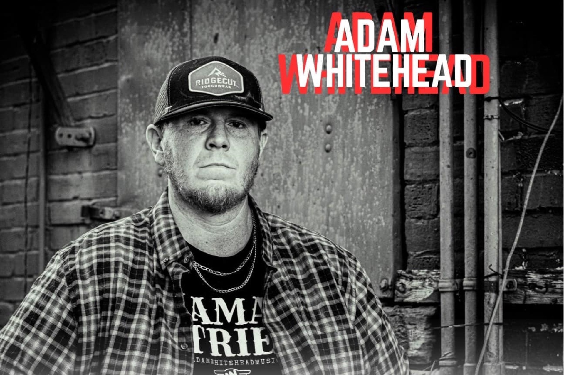 Adam Whitehead