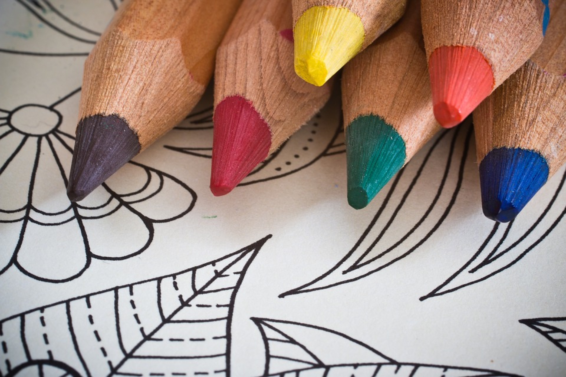 Adult Coloring Party