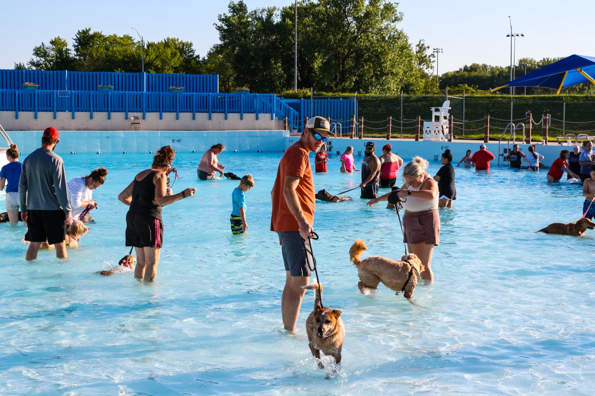 Beach Ottumwa Dog Paddle