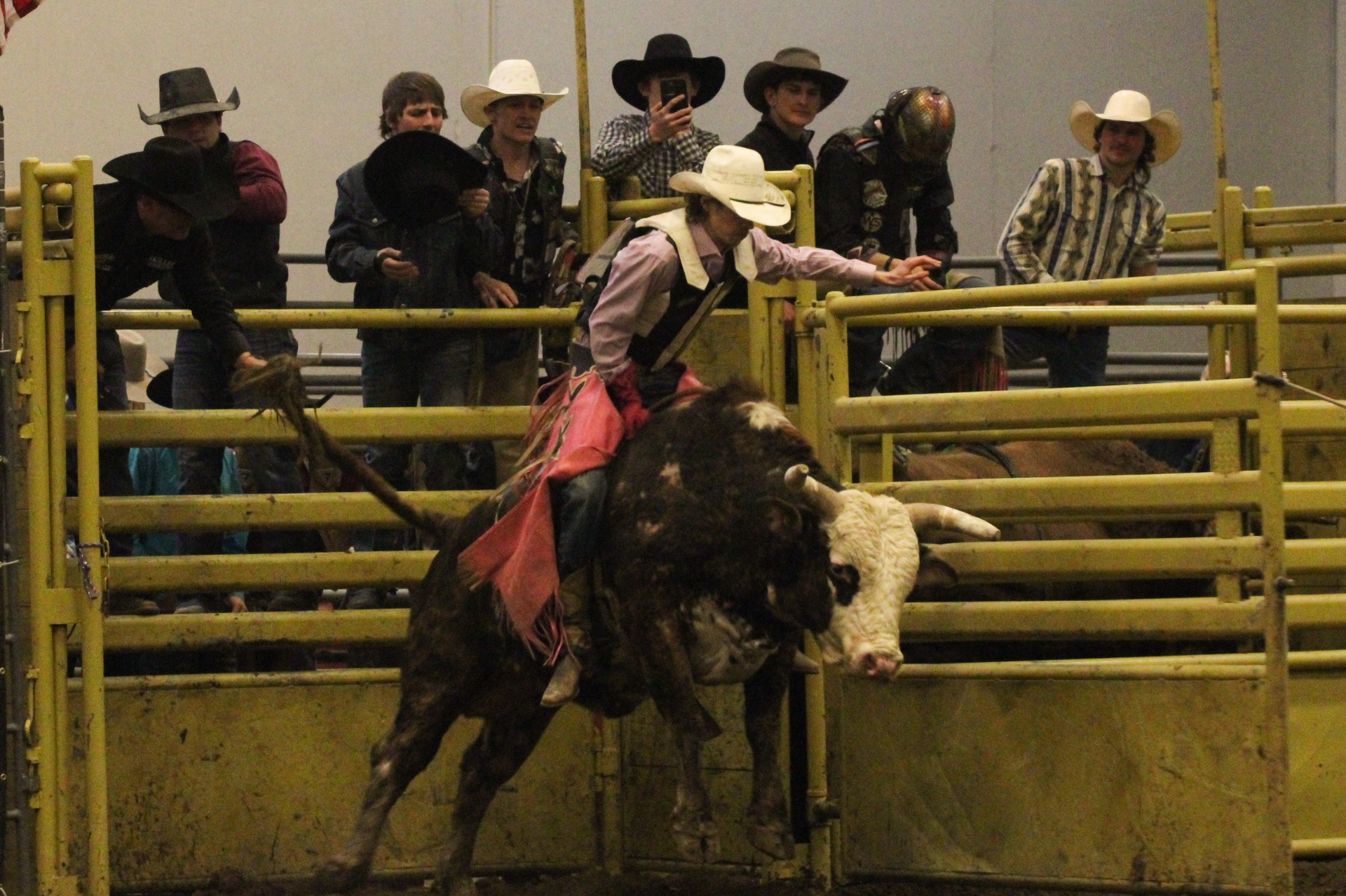 Bullriders of America 2023 Finals