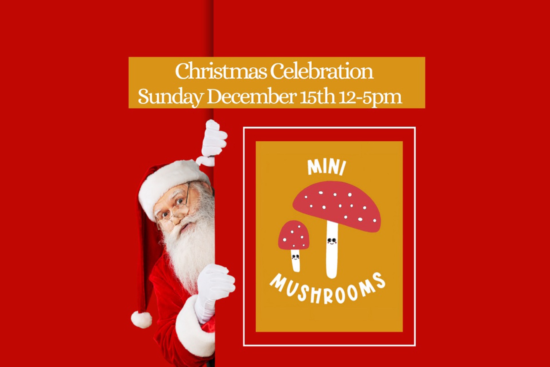 Christmas at Mini Mushrooms