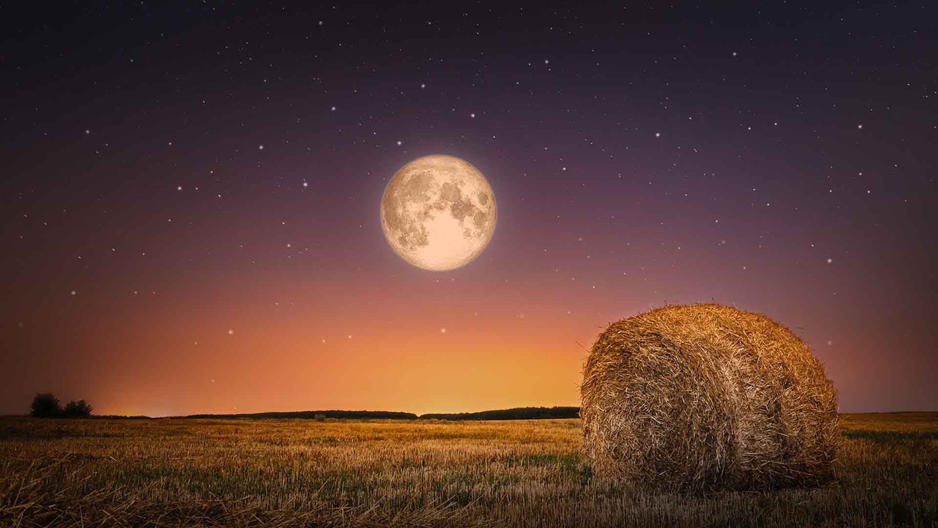 Harvest Moon