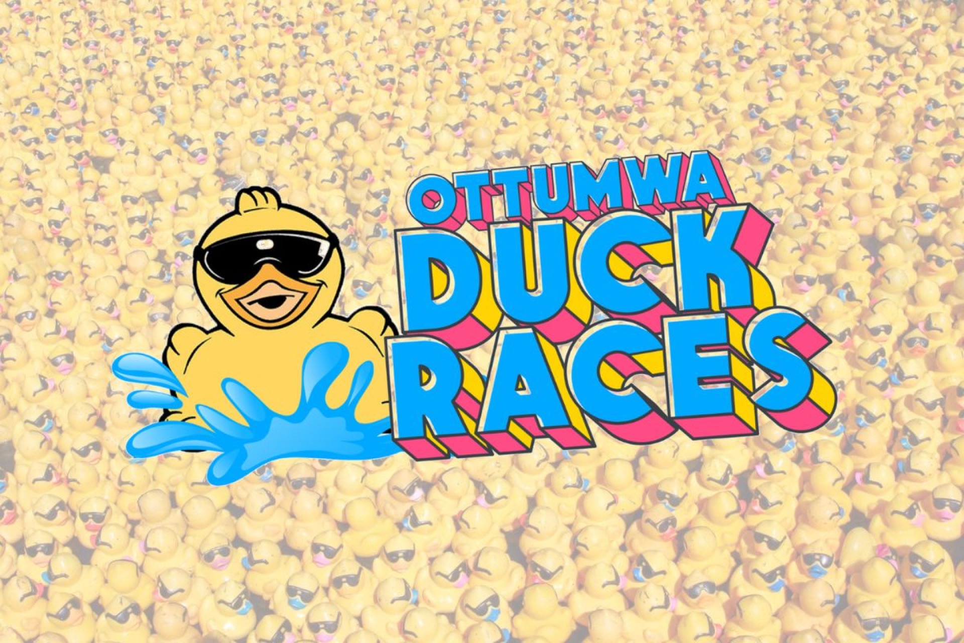 Ottumwa Duck Races