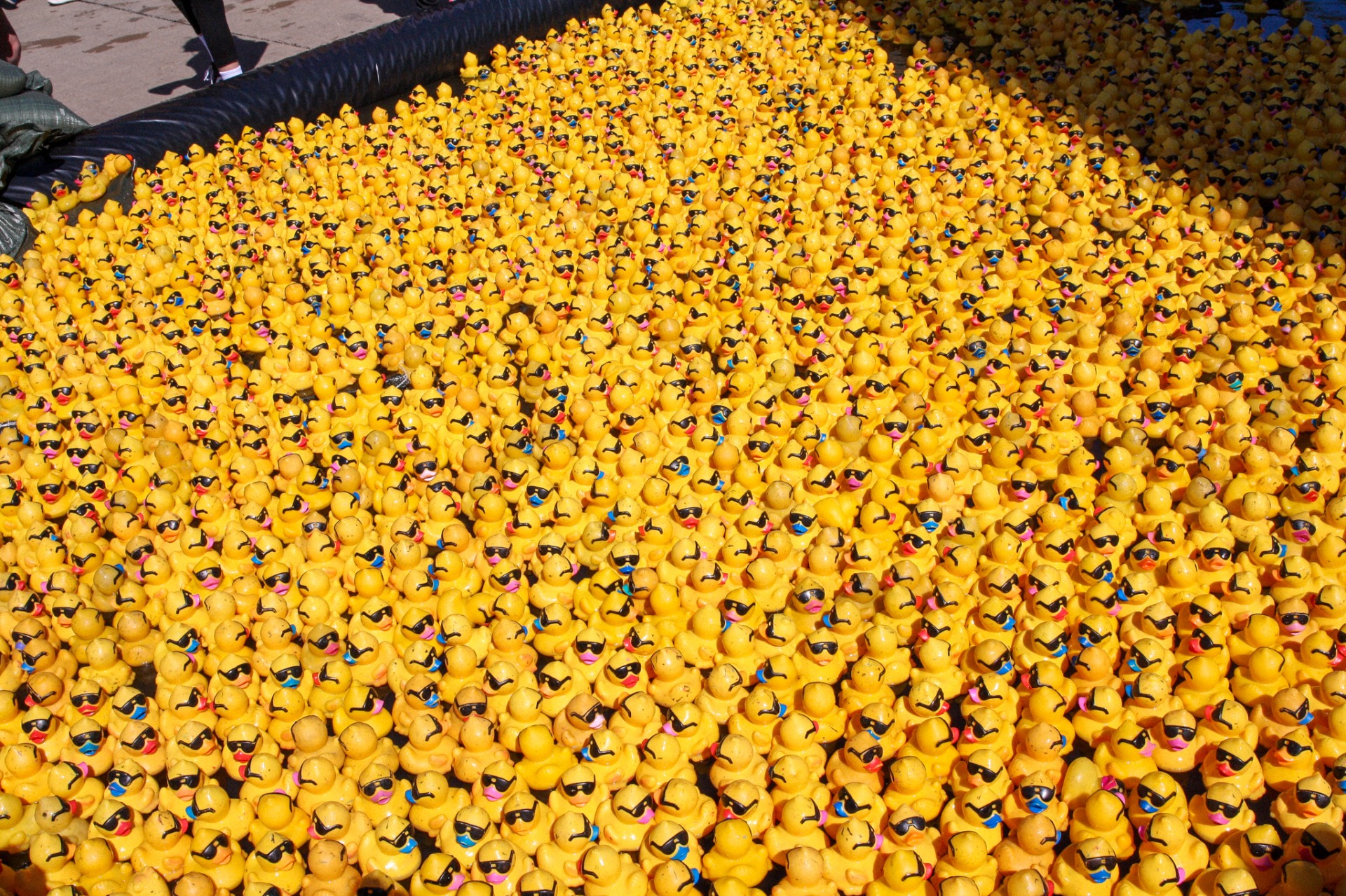 Ottumwa Duck Races