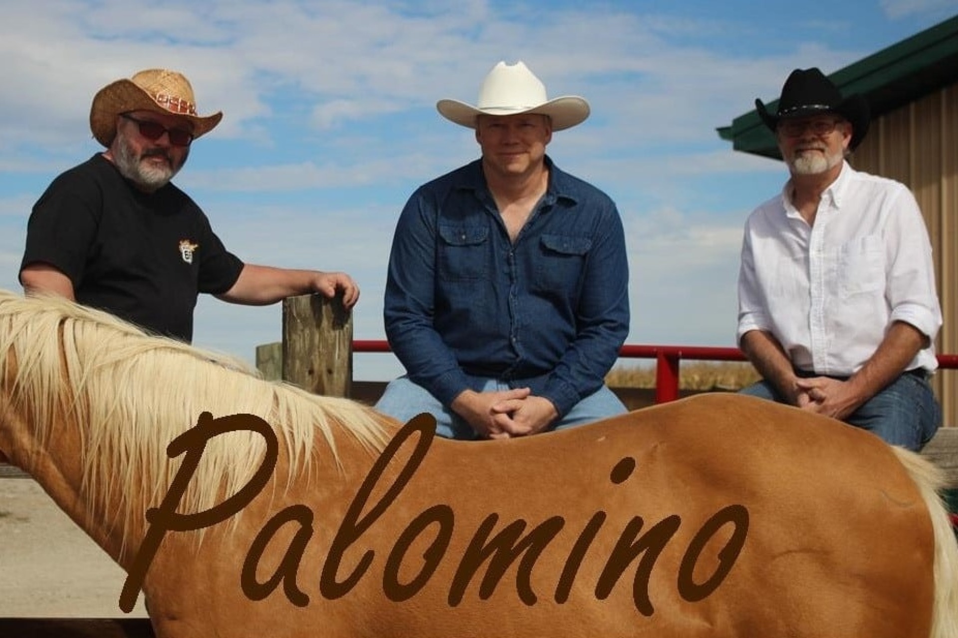 Palomino