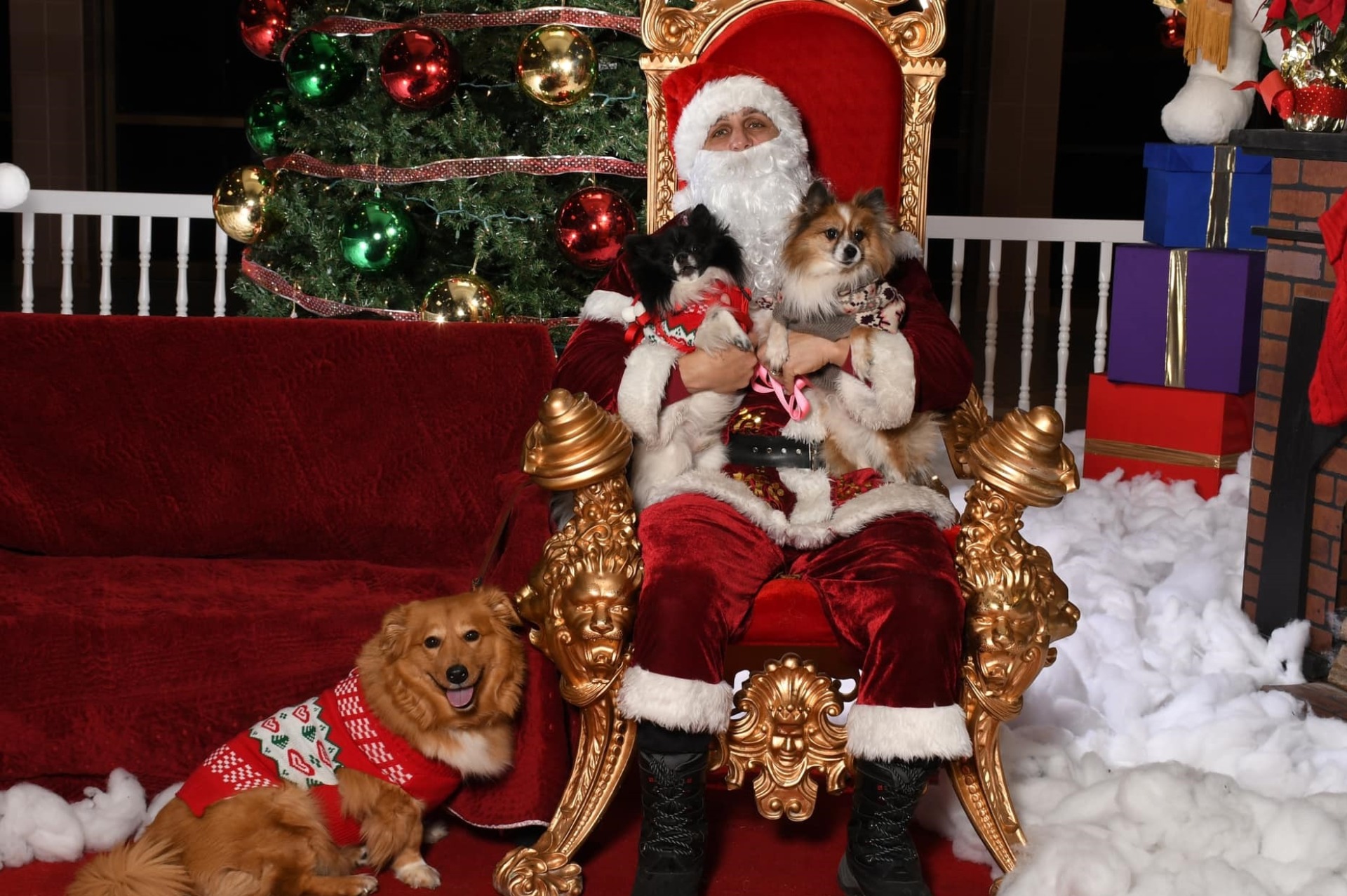 Santa Paws Fundraiser for Heartland Humane Society