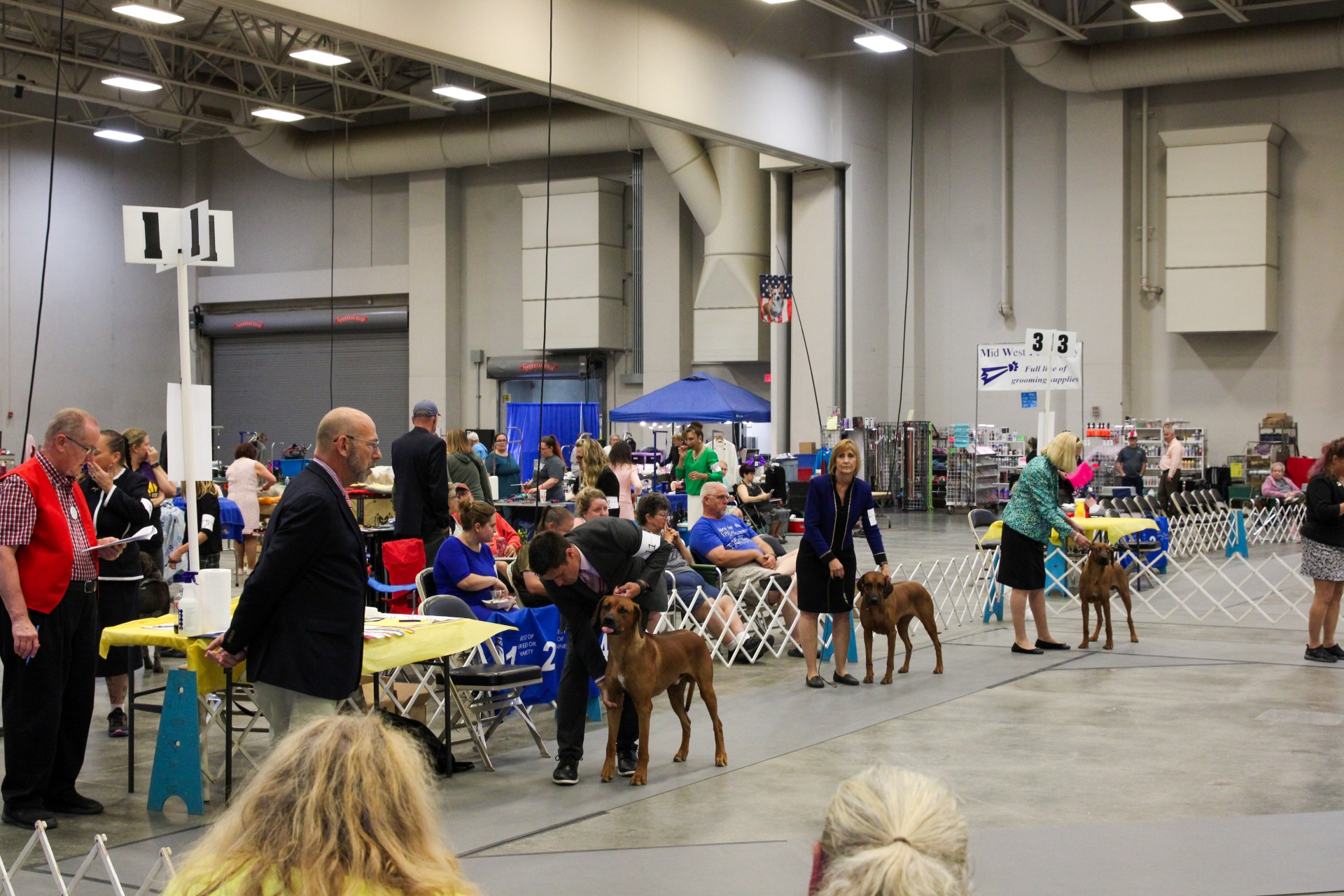 Southeastern Iowa Kennel Club AKC All-Breed Dog Show