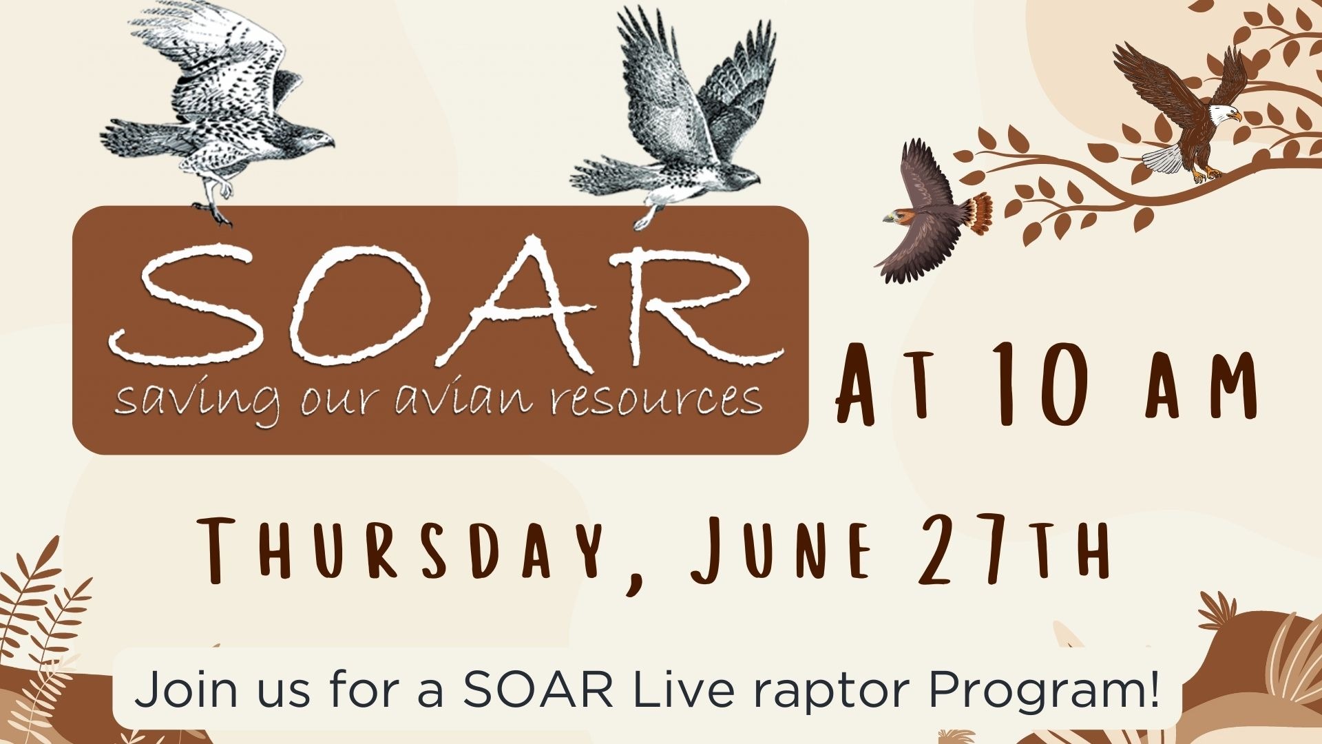 SRP- SOAR Live Raptor Program