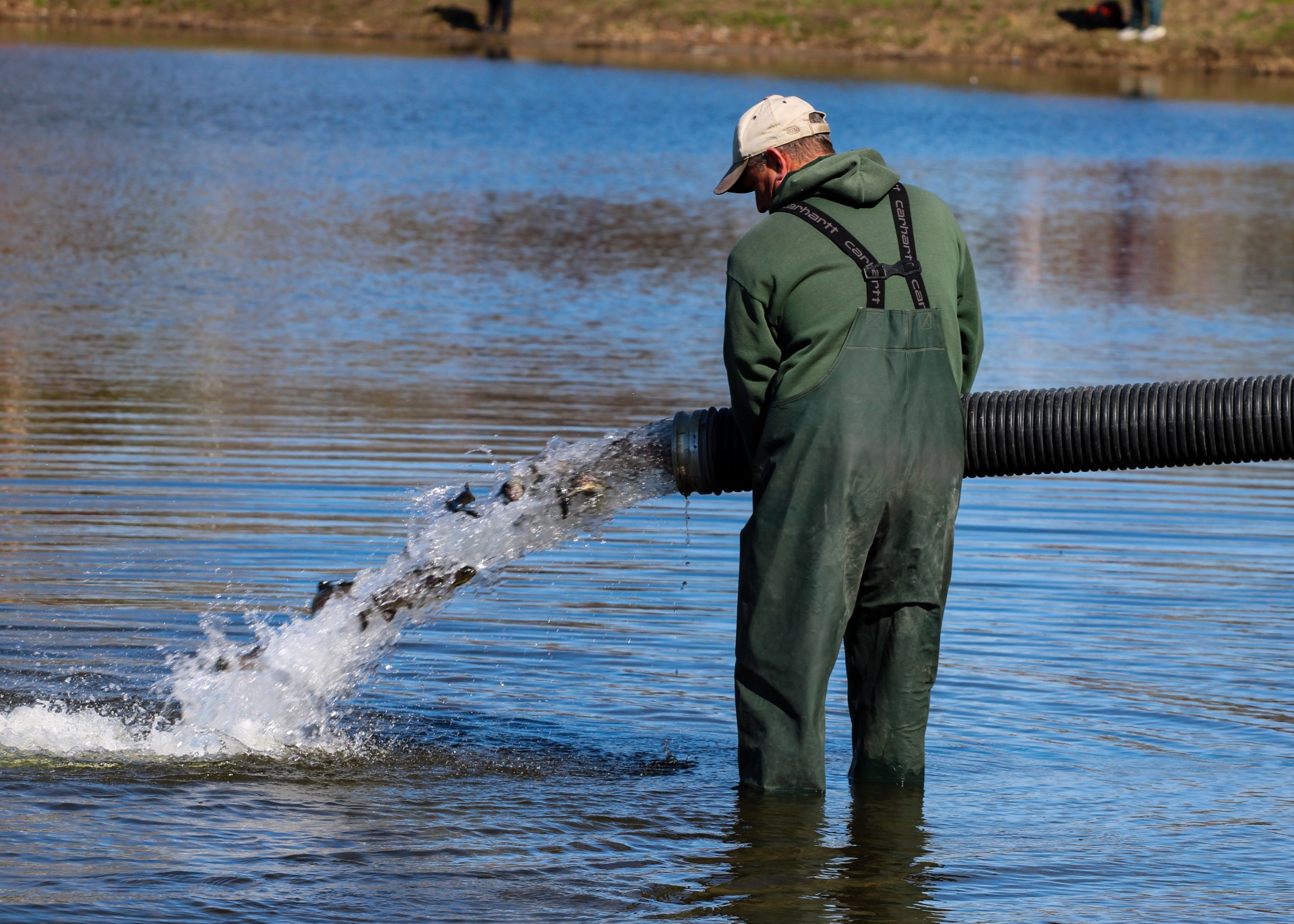 Trout Stocking