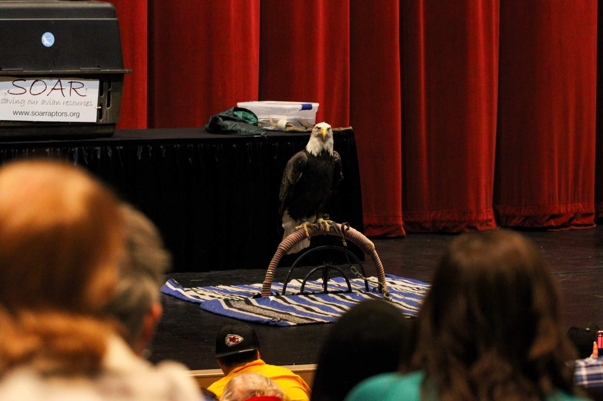 Wapello County's Wildlife Weekend