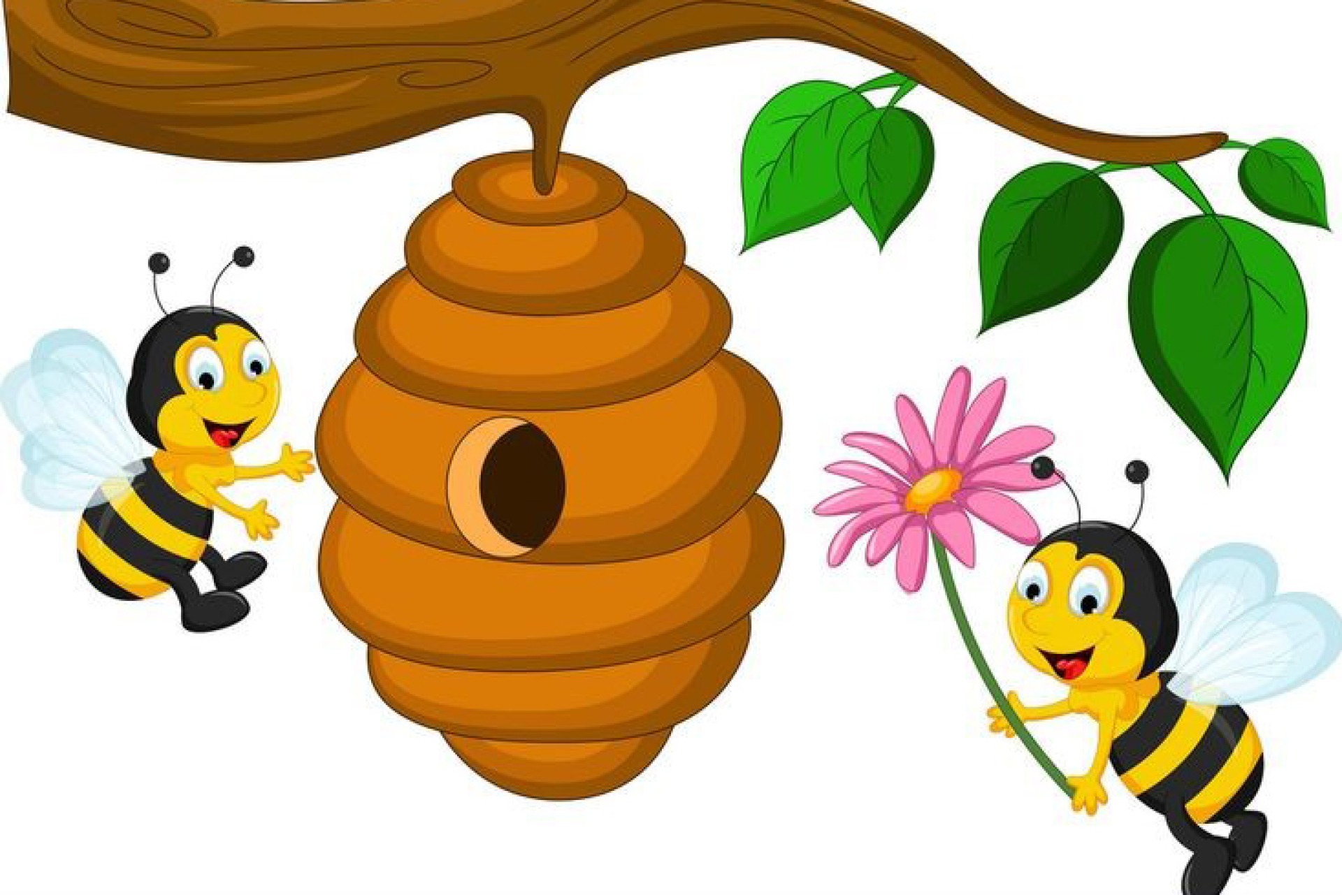 Youth Summer Activity at the American Gothic House Center- Bees and Wasps