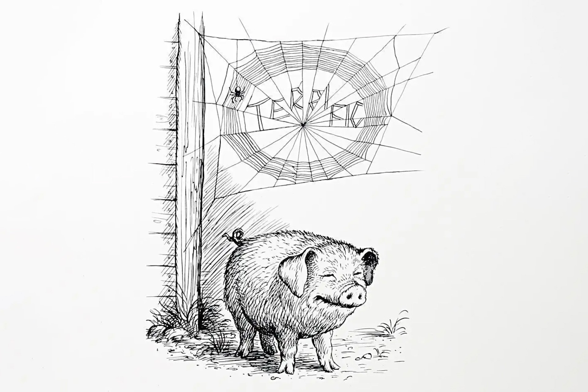 Youth Summer Activity at the American Gothic House Center- Charlotte's Web