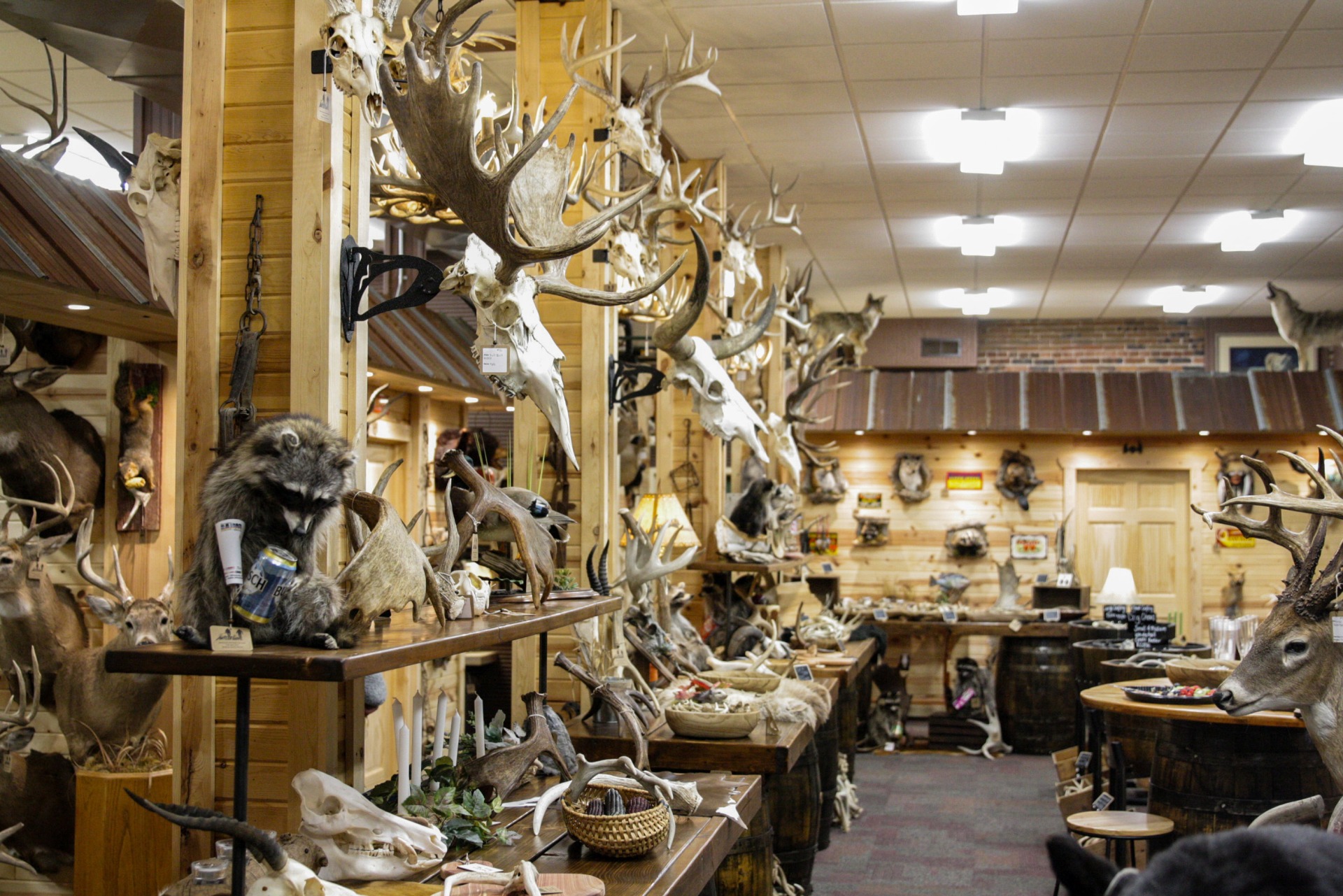 The Antler Guys Mercantile Co.